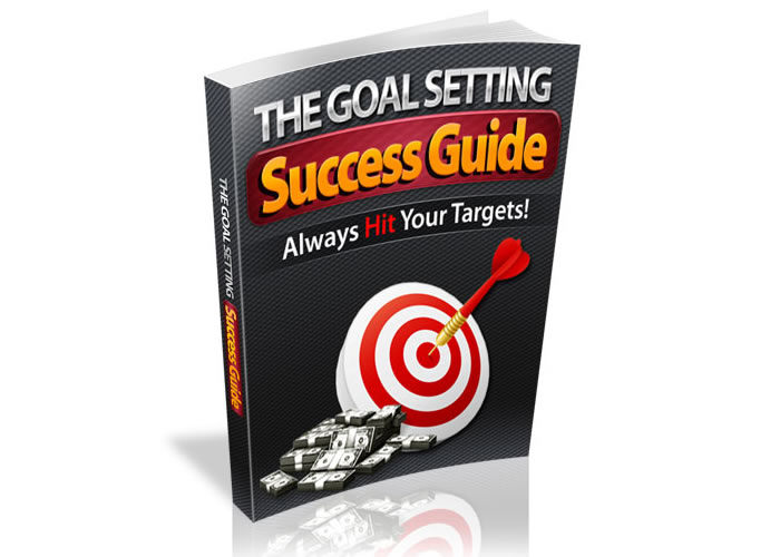 The goal setting success guide
