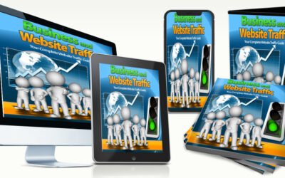 Business And Website Traffic Ebook
